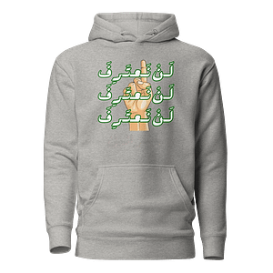 No Recognition - Hoodies