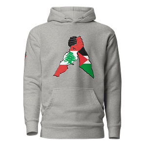 United in Solidarity - Hoodies