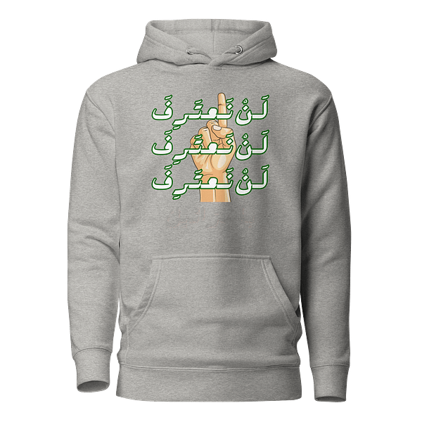 No Recognition - Hoodies