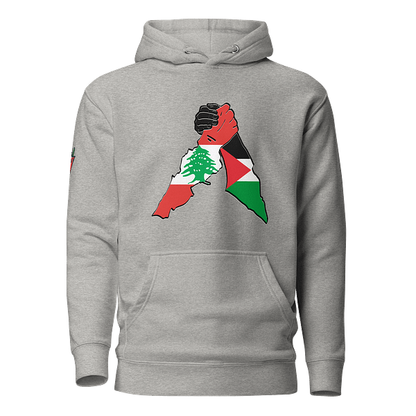 United in Solidarity - Hoodies